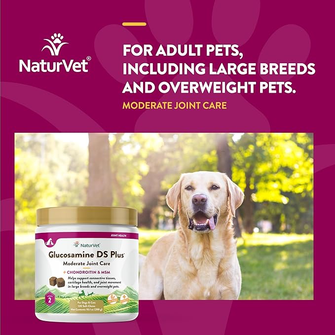 NaturVet – Glucosamine DS Plus - Level 2 Moderate Care – Supports Healthy Hip & Joint Function – Enhanced with Glucosamine, MSM & Chondroitin – for Dogs & Cats–120 Soft Chews-Mewly Pet