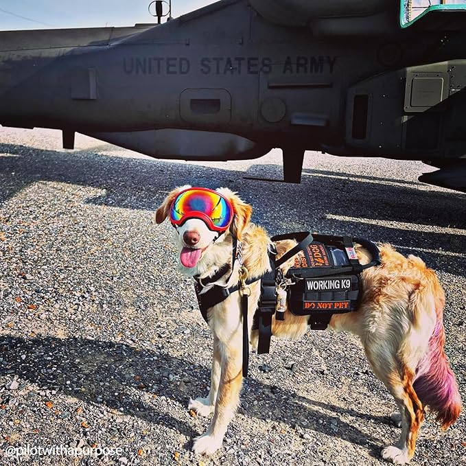 OneTigris Service Dog Vest Harness, Service Dog Cape Guardian Dog Backpack Harness with Pouches Dog Saddle Bag for Small Medium and Large Dogs (Black, M)-Mewly Pet