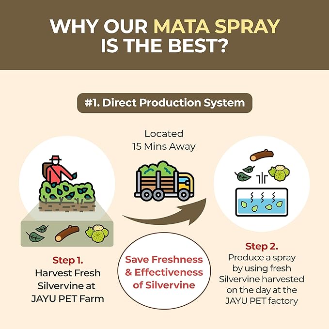 JAYU PET Active MATA Spray – 100% Natural Silvervine Spray for Cats, Liquid Catnip Alternative, Calming Spray for Indoor Kittens, Boosts Play & Engagement, Reduces Stress (1 fl oz)-Mewly Pet