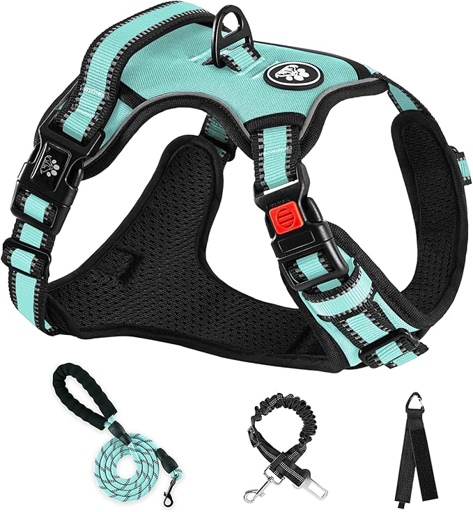 NESTROAD No Pull Dog Harness,Adjustable Oxford Dog Vest Harness with Leash,Reflective No-Choke Pet Harness with Easy Control Soft Handle for Large Dogs(X-Large,Turquoise)-Mewly Pet