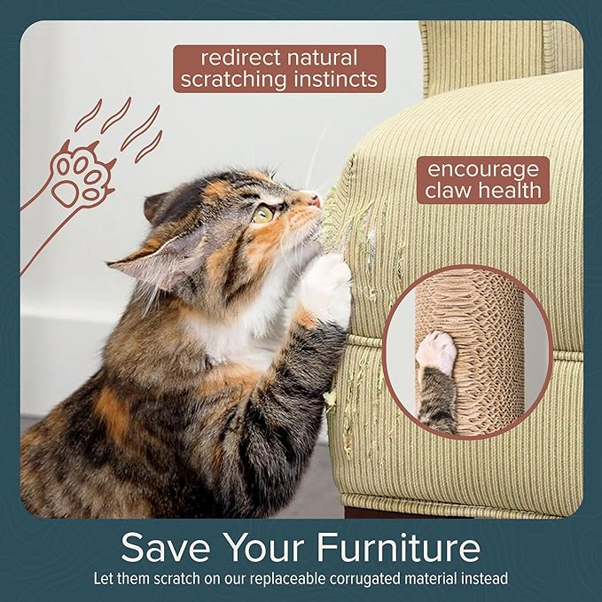 Cat Climbing Wall System – Modern Floating Shelves & Perches for Cats - Sunrise Steps | Ascentials by FurHaven-Mewly Pet