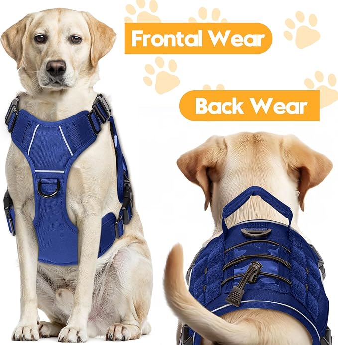 Heavy-Duty Tactical Dog Harness for Large Dogs, No Pull Adjustable Reflective Pet Vest with Molle System, K9 Military-Grade Control for Service Training, Outdoor & 10+ Breeds, Dazzling Blue, Small-Mewly Pet