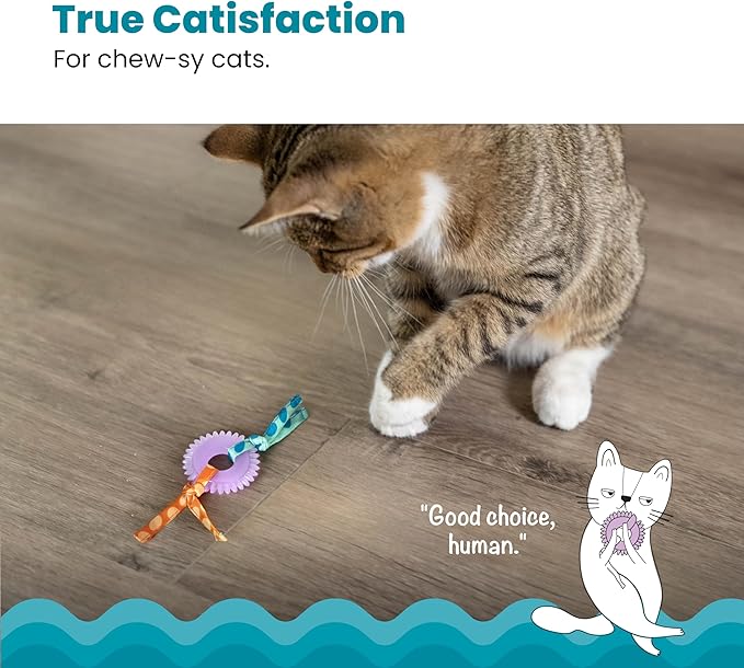 Catstages Kitty Chew Wheel, Dental Cat Toy with Catnip Oil, Teeth Cleaning, Healthy Chewing, Boredom Relief, Kicking & Batting for Kittens and Adult Cats, Purple-Mewly Pet