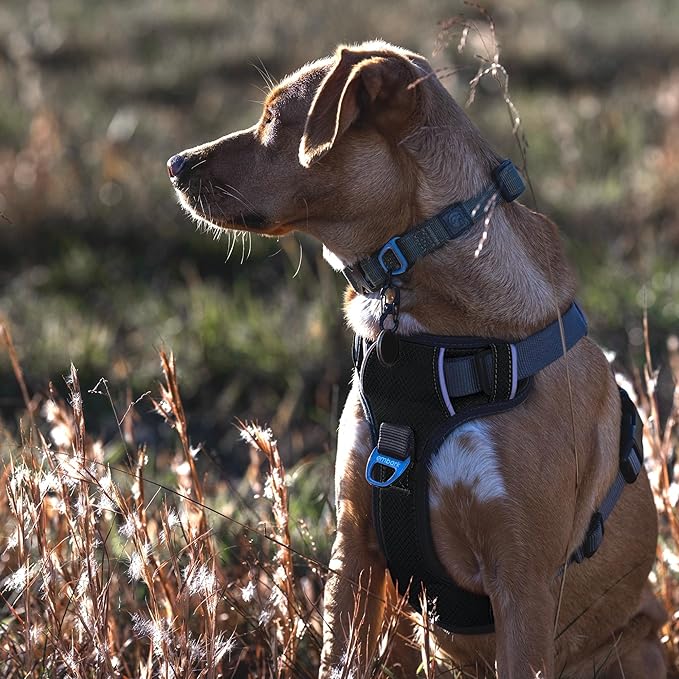 Embark Adventure Dog Harness, Reflective Trim No Pull Dog Harness Medium Sized - Military Grade Nylon, Front Clip with Gel Lined Handle. Soft & Padded Puppy Harnesses for Any Breed-Mewly Pet