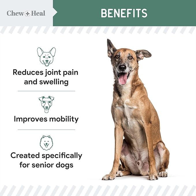Glucosamine for Dogs Hip and Joint Supplement - 60 Senior Dogs Mobility Soft Chews - Made with Glucosamine, MSM, Chondroitin, Green Lipped Mussels and More - Made in The USA-Mewly Pet
