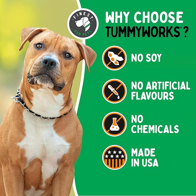 TummyWorks Probiotic 120 Soft Chews for Dogs All Ages - Supports Digestive Health, Relieves Diarrhea, Constipation, Good for Itching, Allergies, Yeast Infections. Added Digestive Enzymes, Made in USA-Mewly Pet