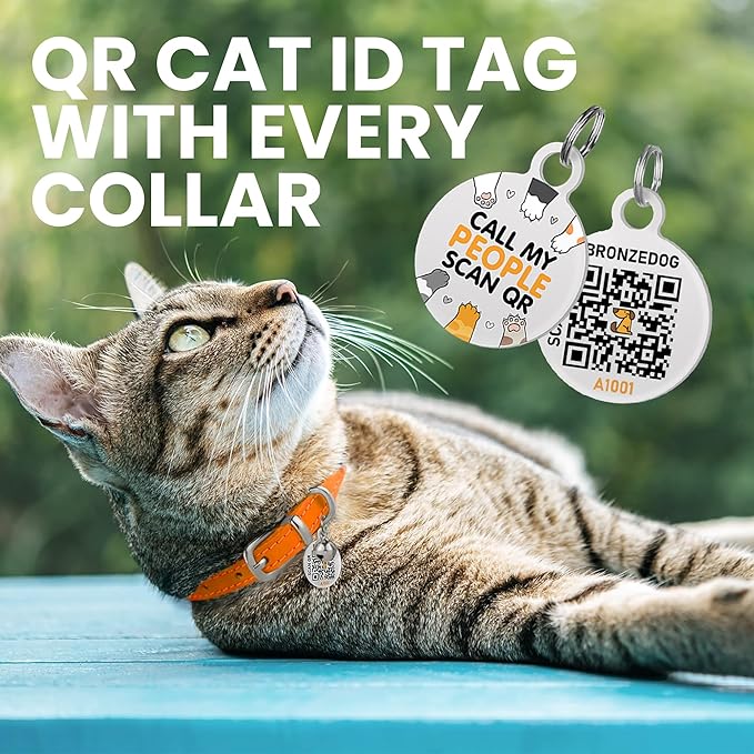 BRONZEDOG Leather Cat Collar with Removable Bells Non Breakaway Kitten QR Tag for Girl Boy (7" - 9" for Cats, Orange & Silver)-Mewly Pet