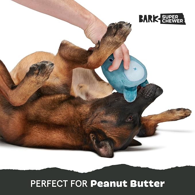 Barkbox Grey Bear Hugger Super Chewer 2-in-1 Plush Exterior Hard Core Plush Toy, Large Breeds-Mewly Pet