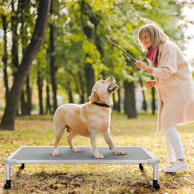 Veehoo Chew Proof Elevated Dog Bed - Cooling Raised Pet Cot - Silver Aluminum Frame and Durable Textilene Mesh Fabric, Unique Designed No-Slip Feet for Indoor or Outdoor Use, Grey, Large, CWC2003-Mewly Pet