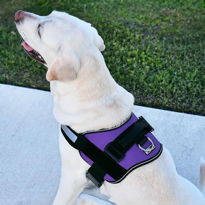 Dogline Dog Harness, Reflective No-Pull Adjustable Vest with Handle for Walking, Training, Breathable, No - Choke Harness for Small, Medium or Large Dogs Room for Patches Girth 22"-28" in Purple-Mewly Pet