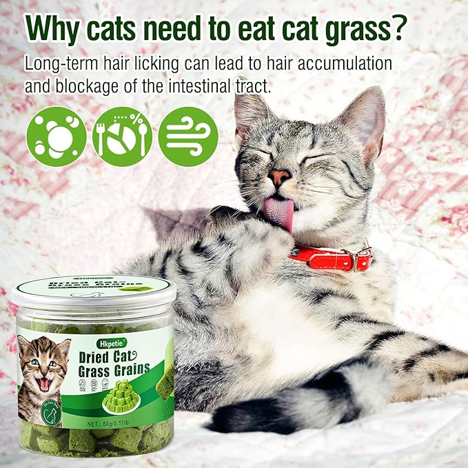 50g Cat Grass Teething Treat, Delicious Cat Grass Teething Snack Edible Cats Chew Toy for Teeth Cleaning and Hairball Removal-Mewly Pet