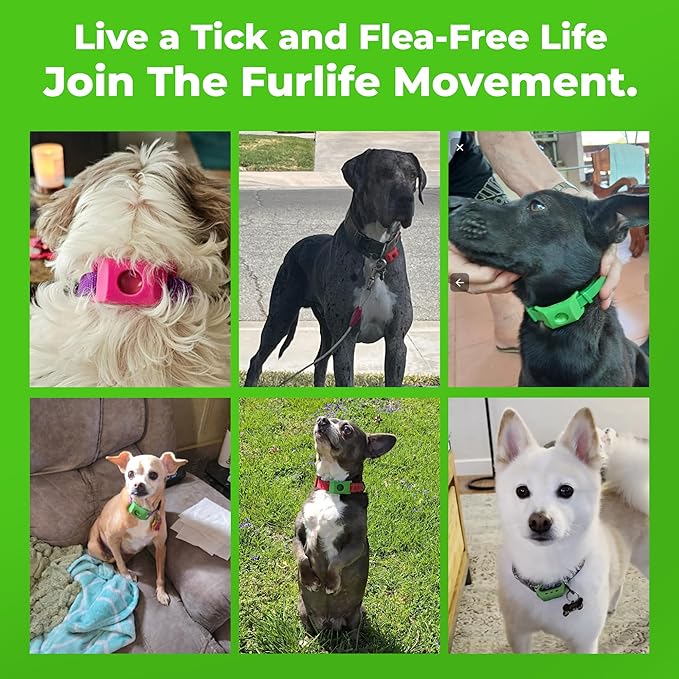 FurLife Green Dog Tag, Flea and Tick Prevention for Dogs - Waterproof Pendant for Collar, Safe for All Breeds-Mewly Pet