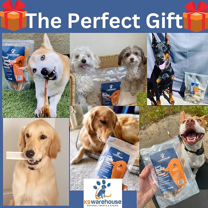 Beef Bone Marrow Dog Treats - Long Lasting Dog Bones for Aggressive Chewers - All-Natural Marrows Treats for Dogs - High-Protein Marrow Bones for Dogs Small, Medium, Large & Extra Large-Mewly Pet