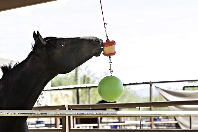 Horsemen's Pride Combo Horse Stall Toy: Apple Scented Jolly Ball and Apple Flavored Snack Holder (SS203)-Mewly Pet