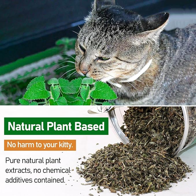 TZL Natural Catnip, Organic Cat Grass, Dried Catnip Leaves, Used for Refillable Catnip Toys, Delicately Sealed and Packaged for Easy Store (40g)-Mewly Pet