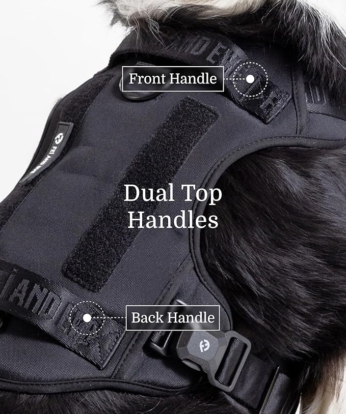 2025 New Edition, Fei & Eve MagEase Dog Harness - 3-Second Magnetic Buckles | 3-Point No-Pull Control | Heavy-Duty 900D Nylon | Dual Safety Handles | Breathable Mesh | Adjustable Fit | X-Large,Black-Mewly Pet