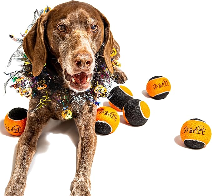 Midlee Orange/Black Dog Halloween Tennis Balls- Set of 6-Mewly Pet