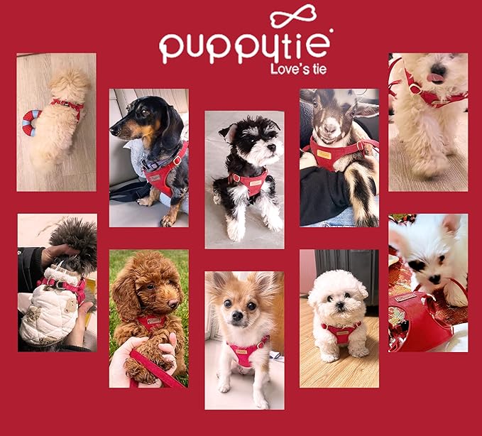 Puppytie No Pull Small Dog Harness with Multifunction Dog Leash,Lightweight Soft Adjustable No Choke Escape Proof Pet Harness Vest Pet Harness Vest,red-Camellia,S-Mewly Pet