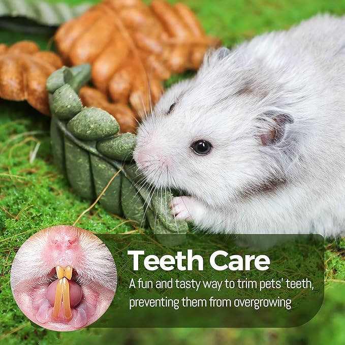 TEEWY 6PCS Hamster Chew Toys, Guinea Pig Chew Toys for Teeth with Natural Vegetables and Timothy Grass, Chinchilla Toys,Dental Care for Rats/Guinea Pigs/Hamsters and Gerbil, Leaf-Shape-Mewly Pet