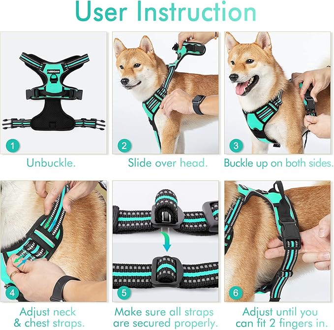 rabbitgoo Dog Harness No Pull with 2 Leash Clips, Adjustable Soft Padded, Reflective Oxford No Choke Pet Vest with Easy Control Handle for Large Dogs, Turquoise, L-Mewly Pet