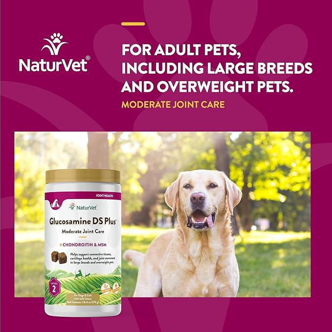 NaturVet – Glucosamine DS Plus - Level 2 Moderate Care – Supports Healthy Hip & Joint Function – Enhanced with Glucosamine, MSM & Chondroitin – for Dogs & Cats – 240 Soft Chews-Mewly Pet