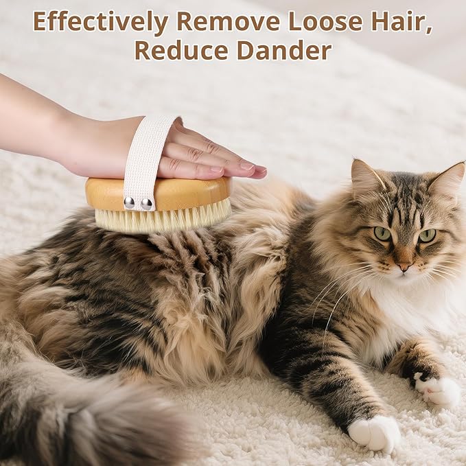 Boar Bristle Cat Brush for Indoor Cats, Cat Hair Brush Gentle Grooming, Reduce Shedding, Soft Hair and Healthy Shine, Bamboo Handheld with Soft Boar Bristles and Band for Short Haired Cats Dogs-Mewly Pet