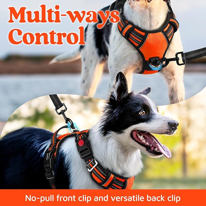 rabbitgoo Dog Harness for Large Dogs, No Pull Pet Vest with 3 Buckles, Adjustable Soft Padded Pet Harness with Easy Control Handle and Reflective Strips, Orange, XL-Mewly Pet