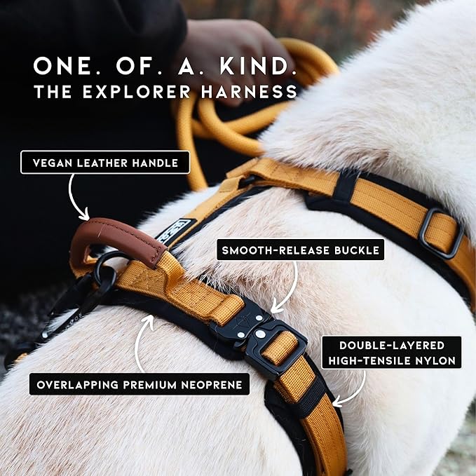 MADE TO ROAM Premium Explorer Harness - Y-Shaped Dog Harness with Adjustable Durable Nylon, Soft Padding, Metal Buckles and Leather Handle for Small, Medium, Large Dogs (Maine Marina, Size 7)-Mewly Pet