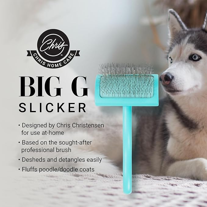Chris Christensen Big G Dog Slicker Brush for Dogs (Goldendoodles, Labradoodles, Poodles), Groom Like a Professional, Fluff Detangle Style, Saves Time Energy, Teal, Medium-Mewly Pet