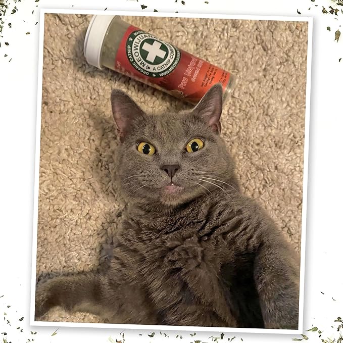 Meowijuana Clawsome Bundle | Get Smoked Refillable Trout Toy and Paw Natural OG Catnip Blend | Promotes Play and Cat Health | Includes North American Organic Catnip-Mewly Pet