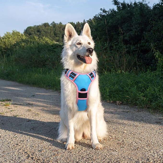 Eagloo Dog Harness for Large Dogs, No Pull Service Vest with Reflective Strips and Control Handle, Adjustable and Comfortable for Walking, No Choke Pet Harness with 2 Metal Rings, Pink & Blue, XL-Mewly Pet