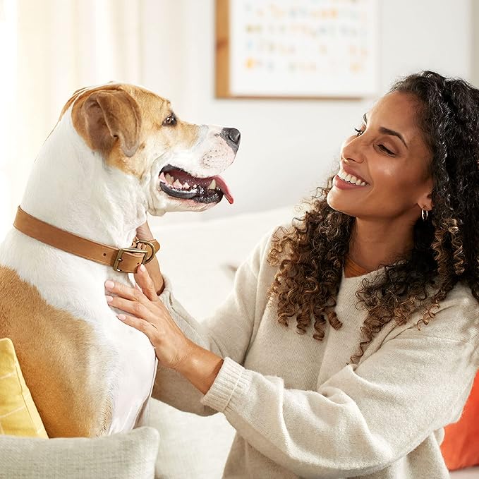 Rachael Ray Nutrish Dog Chews Soup Bones With Real Beef & Barley, 24 Dog Treats-Mewly Pet