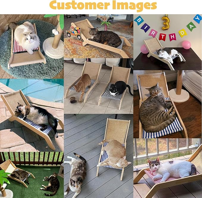 PETKARAY Cat Chair, Beach Theme Cat Hammock Bed, Raised Bed, Mini Beach Chair, Cute Lounger for Indoor Kittens-Mewly Pet