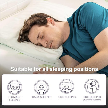 NapQueen Queen Size, 8 Inch Anula Green Tea Infused Memory Foam Mattress, Bed in a Box, CertiPUR-US Certified Mattress