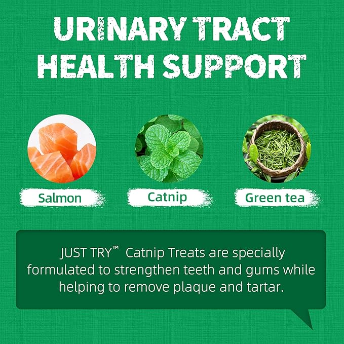 Just Try 13.4 OZ Crunchy Cat Treats Catnip Treats for Cats with Digestive Support, Natural Ingredients Kitten Treats with Real Salmon, Healthy Feline Snacks Training Biscuits Dental Care-Mewly Pet