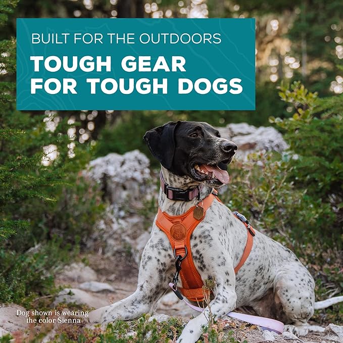 Wilderdog Lightweight Dog Harness with Reflective Straps - Large - Sienna-Mewly Pet