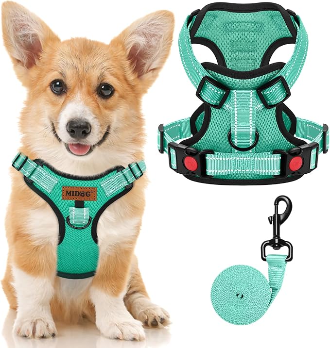 MIDOG No-Pull Dog Harness | Adjustable & Reflective Pet Harness Leash Set for Small Medium Large Dogs Walking, Training| No Choke, Front Clip, Soft Padded Vest with Easy Control Handle - Green, S-Mewly Pet