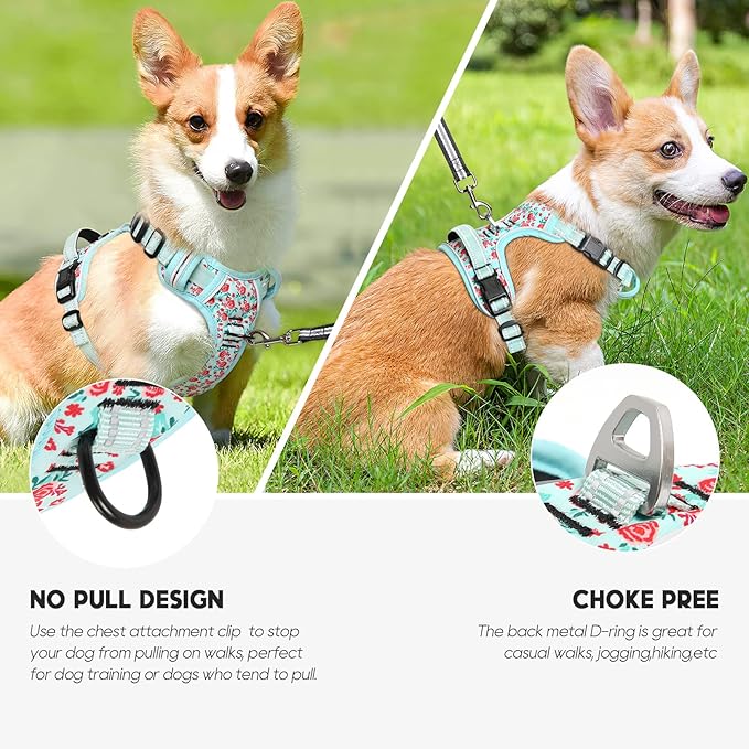Timos Dog Harness, 3 Snap Buckles No-Pull Soft Padded Dog Vest with 2 Metal Leash Clips,Adjustable Reflective No Choke Pet Harness with Easy Control Handle for Small Dogs,Cyan,S-Mewly Pet