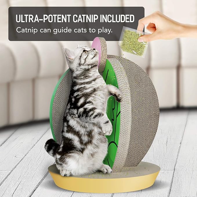 Cat Condo Scratcher Post Cardboard, Cactus Shape Cat Scratching House Bed Furniture Protector, Green Colour-Mewly Pet