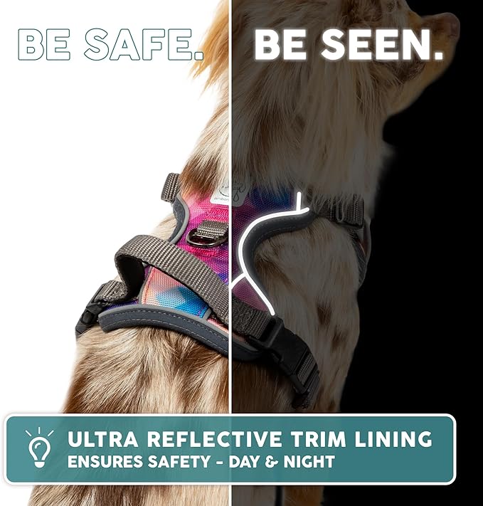 Embark Adventure Dog Harness, Reflective Trim XL for Extra Large Dogs No Pull - Military Grade Nylon, 2 Leash Clips & Gel Lined Handle. Soft & Padded Puppy Dog Harnesses for Any Breed-Mewly Pet