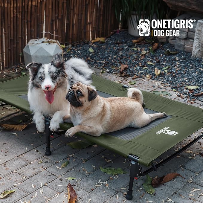 ONETIGRIS Elevated Dog Bed, Outdoor Dog Cod Large Raised Dogs Bed with Chew Proof Mesh, No-Slip Portable Dogs Cot Bed for Indoor & Outdoor Portable (Green, Large)-Mewly Pet