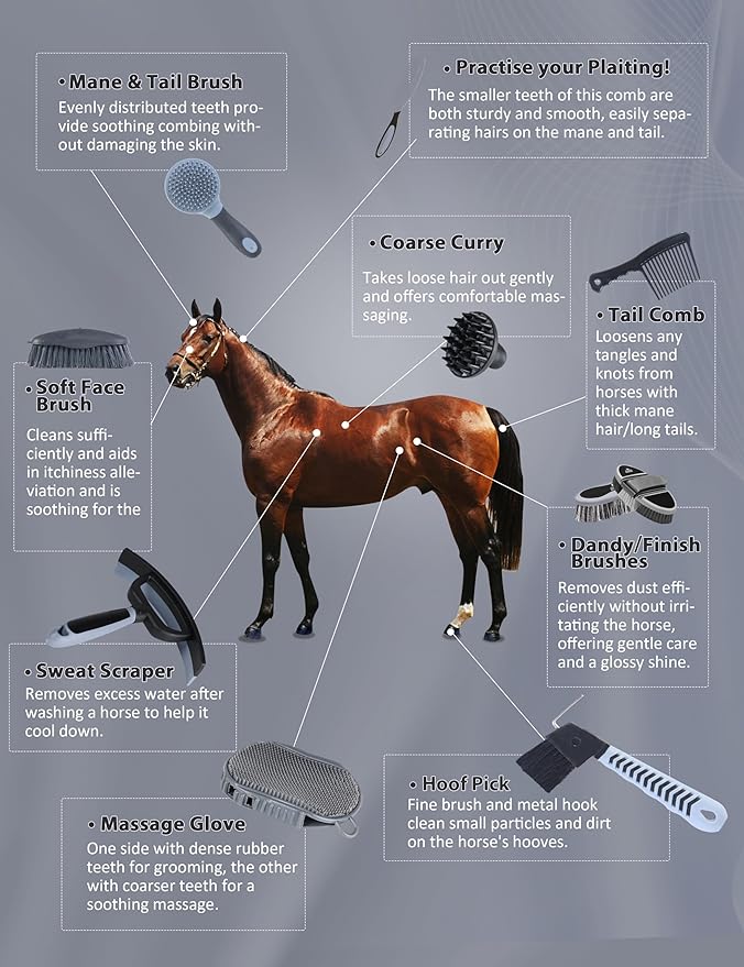 Harrison Howard Horse Grooming Kit 11-Piece Equine Care Series Horse Brush Sets with Organizer Tote Bag Tack Room Supplies Shedding Grooming Massaging Tools Black Brushstroke Ponies-Mewly Pet