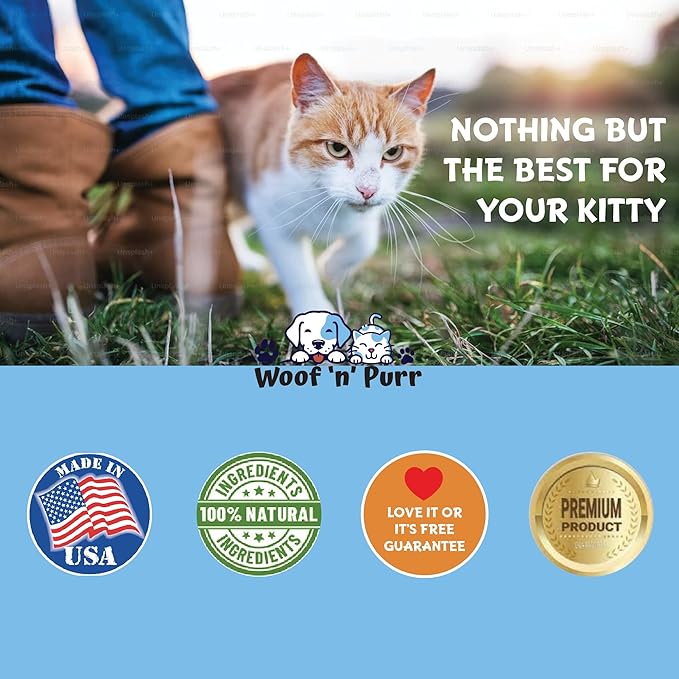 Cat Multivitamin - Promotes Healthy Skin & Coat, Joint Support, Longevity & More - Cat Vitamins - Cat Supplements & Vitamins - Cat Vitamins for Indoor Cats - Kitten Vitamins - Cat Immune Support - 1oz-Mewly Pet