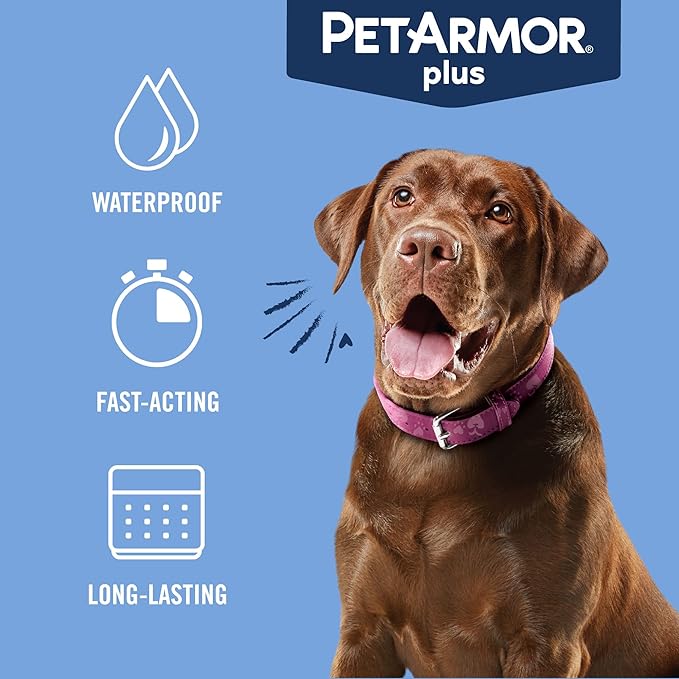 PetArmor Plus Flea and Tick Prevention for Dogs, Dog Flea and Tick Treatment, 3 Doses, Waterproof Topical, Fast Acting, Large Dogs (45-88 lbs)-Mewly Pet