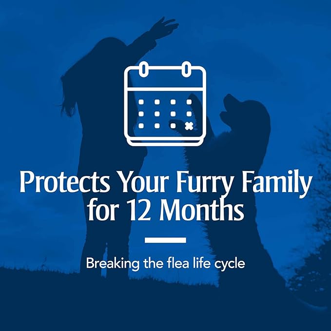 PETARMOR Home Carpet Powder for Fleas and Ticks, Protect Your Home From Fleas and Deodorizes Carpets, 16 Ounce-Mewly Pet