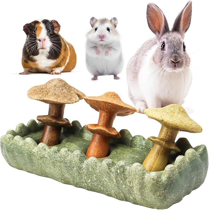 TEEWY 4PCS Guinea Pig Chew Toys, Prevent Teeth Overgrowth, Natural Vegetables and Timothy Grass, Hamster Chew Toys, Guinea Pig Toys, Chinchilla Toys, Grass Patch & Mushrooms-Mewly Pet