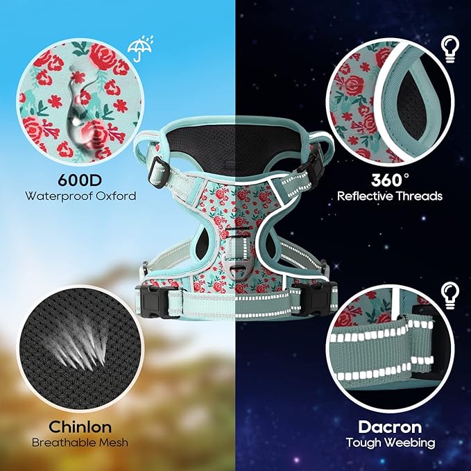 Timos Dog Harness, No-Pull Pet Harness with 2 Leash Clips, 3 Snap Buckles Adjustable Soft Padded Dog Vest, Reflective No-Choke Pet Oxford Vest with Easy Control Handle for Small Medium Large Dogs-Mewly Pet