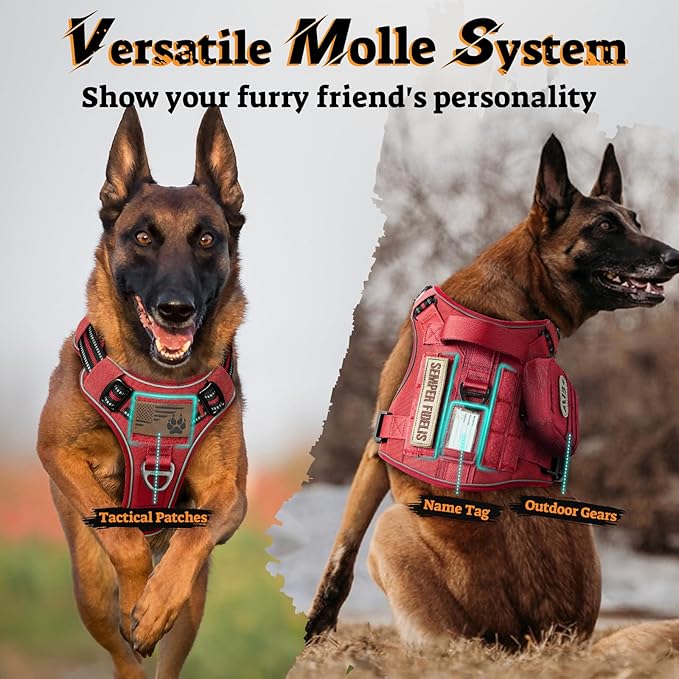 rabbitgoo Dog Harness Small Sized No Pull, Tactical Service Pet Vest with Molle and Control Handle, Adjustable and Reflective Military Harness for Easy Walking and Training, Red, S-Mewly Pet