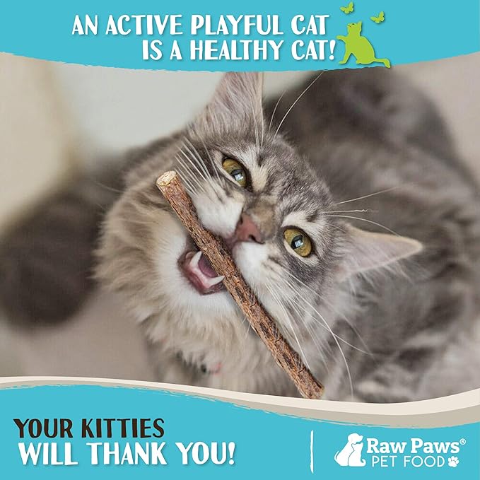 Raw Paws Silvervine Sticks for Cats (30 Pack) - Silvervine Cat Toy for Indoor Cats - Catnip Sticks - Silver Vine Cat Chew Stick-Mewly Pet