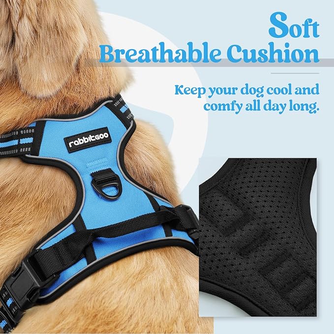 rabbitgoo Dog Harness No Pull with 2 Leash Clips, Adjustable Soft Padded, Reflective Oxford No Choke Pet Vest with Easy Control Handle for Small Dogs, Blue, S-Mewly Pet